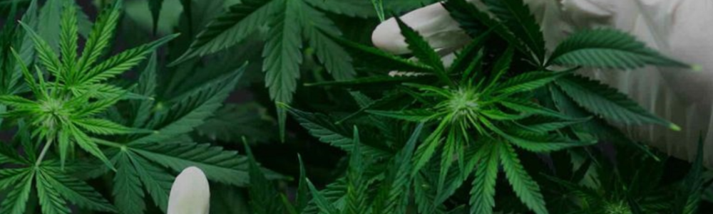 User banner image